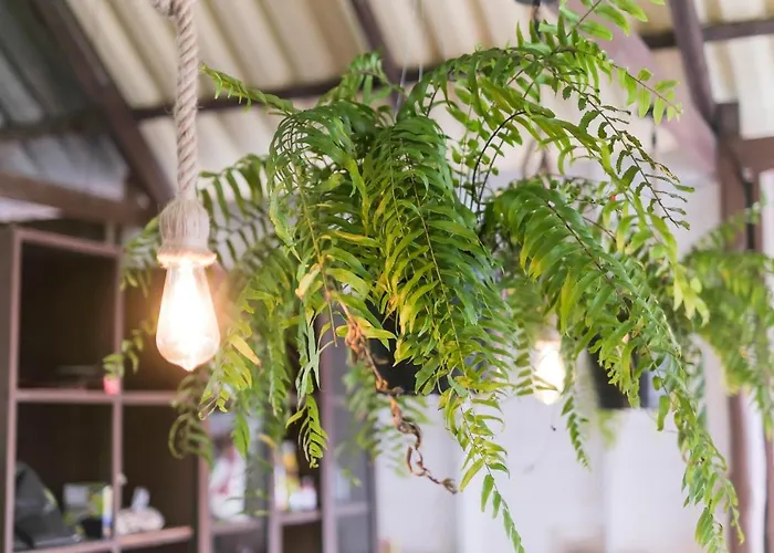 Boho Hostel